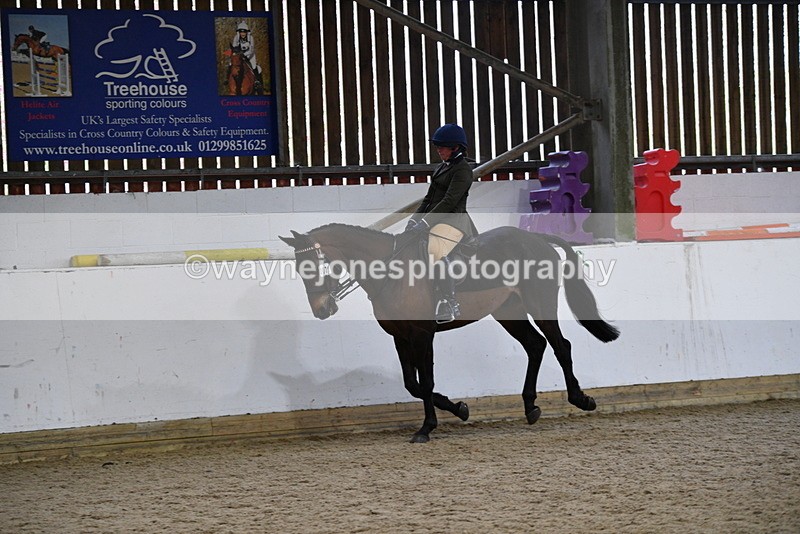 WJ5_8008 - Class 13 Ridden Part Breed