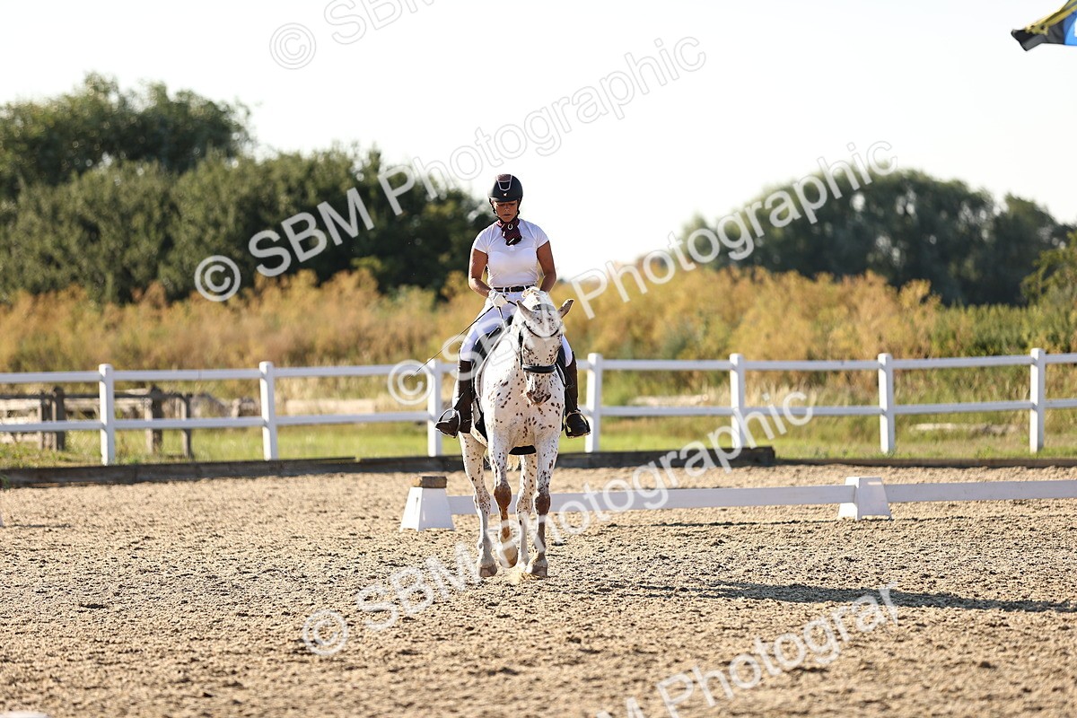 SBM_007825 - Elementary 4 - 17.07-18.22
