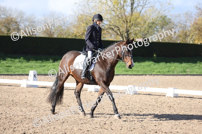 20251101-0554 - Class 4 - Novice 2