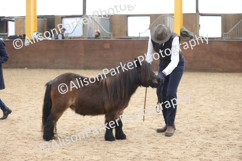 20251109-0377 - Class 14 - Geldings 4 Years and Over