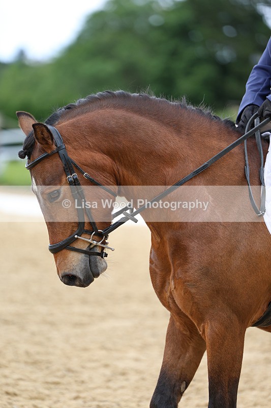 3E7A9543 - Class 2: Intro 1 2024 Section B