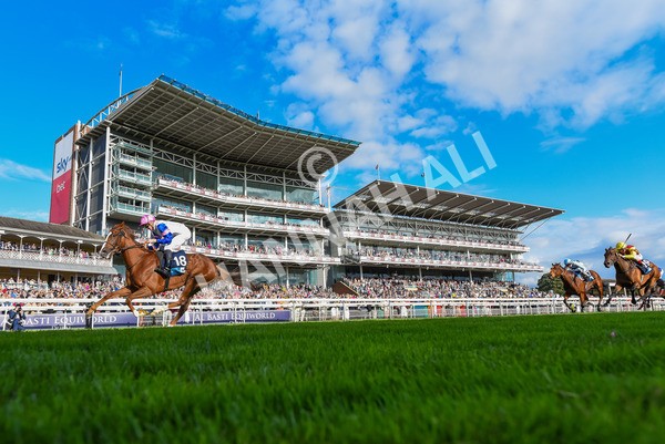 240823-Race 7-Nigiri-1361 - Race 7 5.20pm British EBF 40th Anniversary Fillies' Handicap