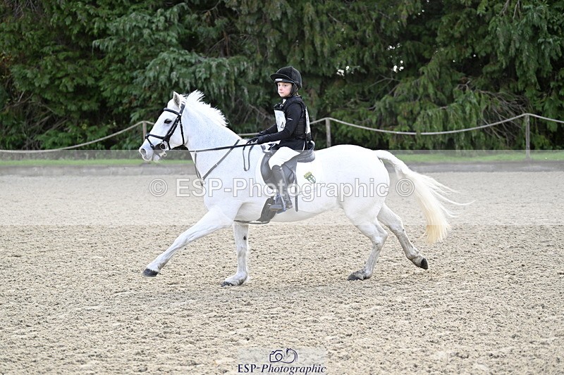 251005A-090527-02937 - Cls 02 GR 50cm