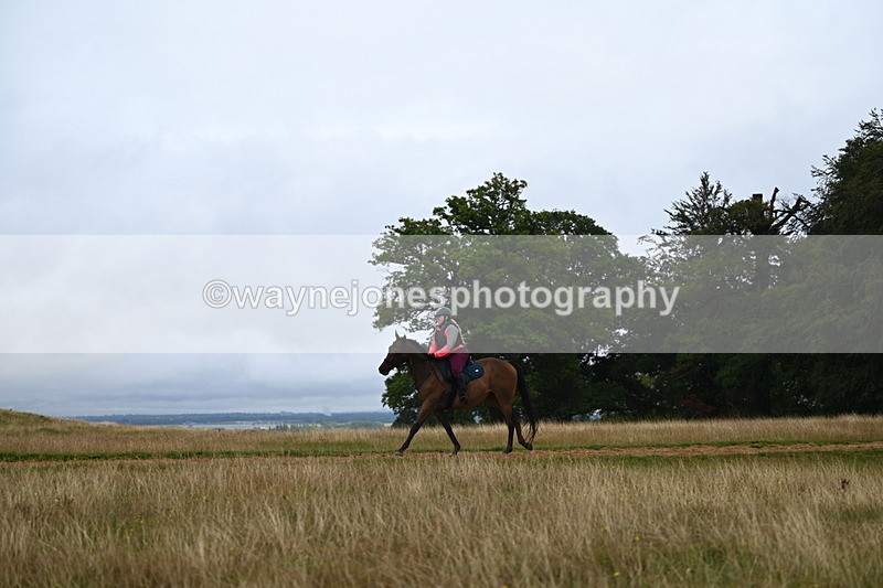DSC_3934 - Time at Statue 14:56 to 15:05