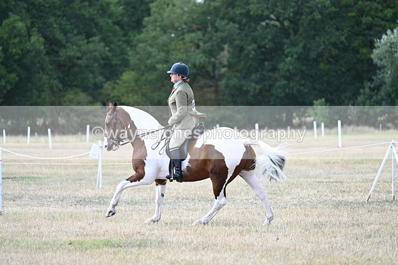 WJ7_7325 - Class 14 Ridden Coloured