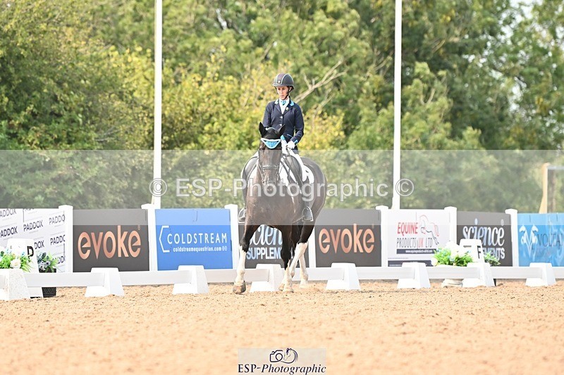 250816-153549-05902 - 037-Alys.MatraversTiger.Mazariti