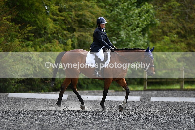 WJ5_1619 - Time 14:20 to 15:01