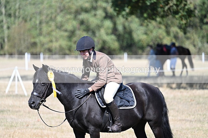 WJ7_4162 - Class 9 Mountain & Moorland Ridden