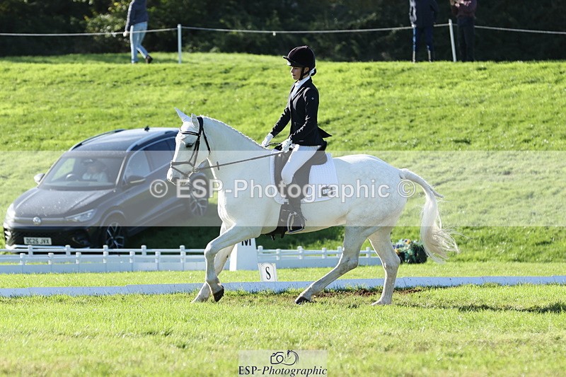 251024A-144103-14094 - F-479-Poppy.Wellman