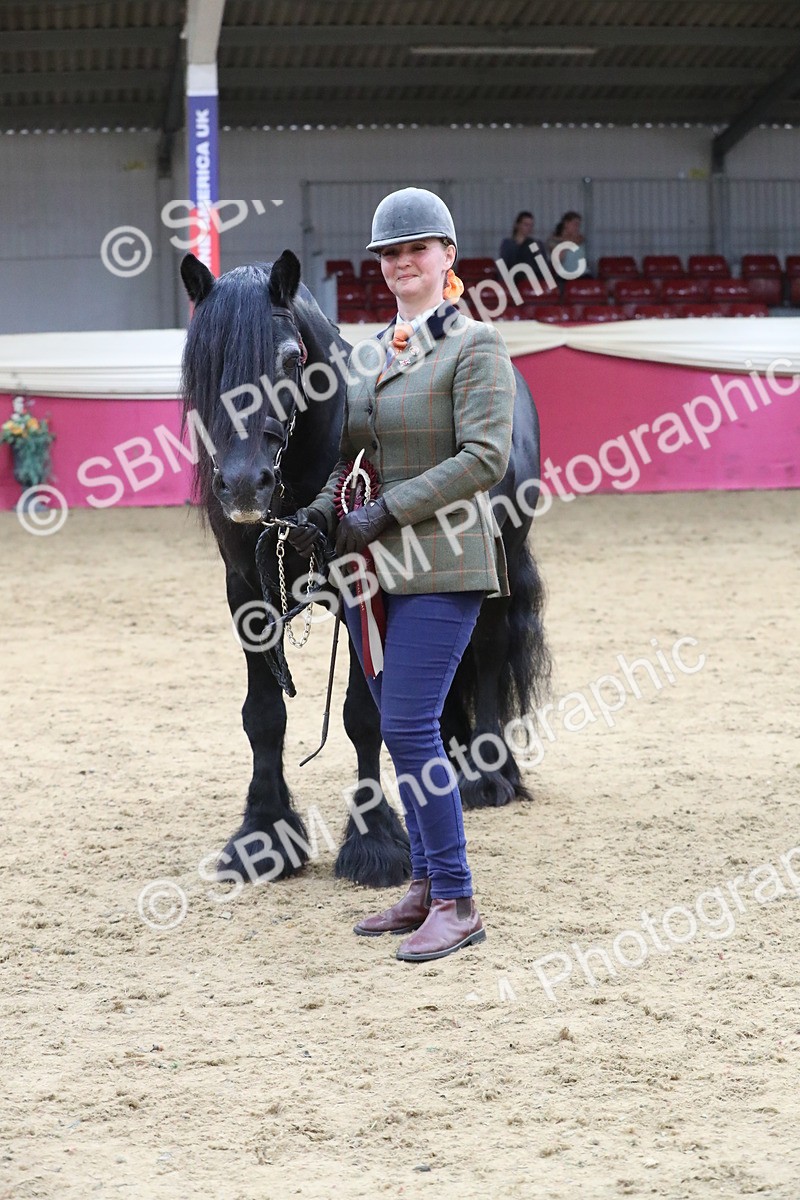 SBM_05048 - Class 8R- Regional -IH Veteran