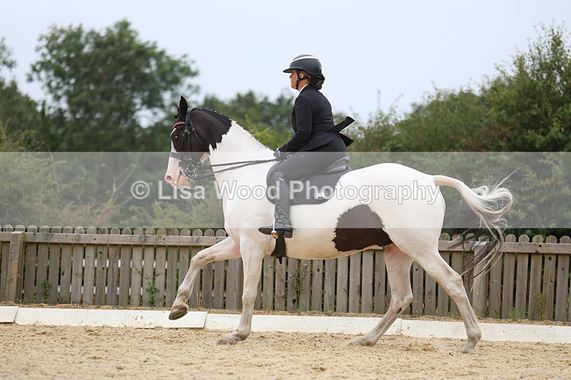 3E7A7361 - Class 9: Elementary 4 2024 - No sections