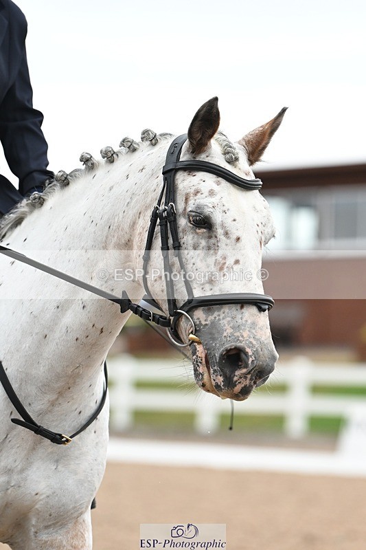 250705-104613-00995 - Intro3 Sections BDI3SEN, BDI3JNR 09.30 to 10.36