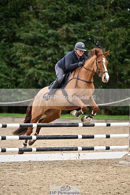 250201A-110826-00338 - Cls 02 Local Horse 100cm