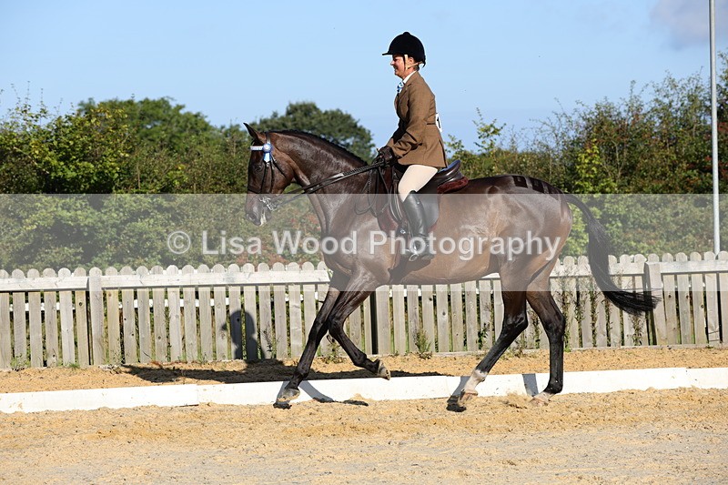 1X9A7583 - Class 7: Novice Ridden Hunter/Hack/Cob/Riding Horse