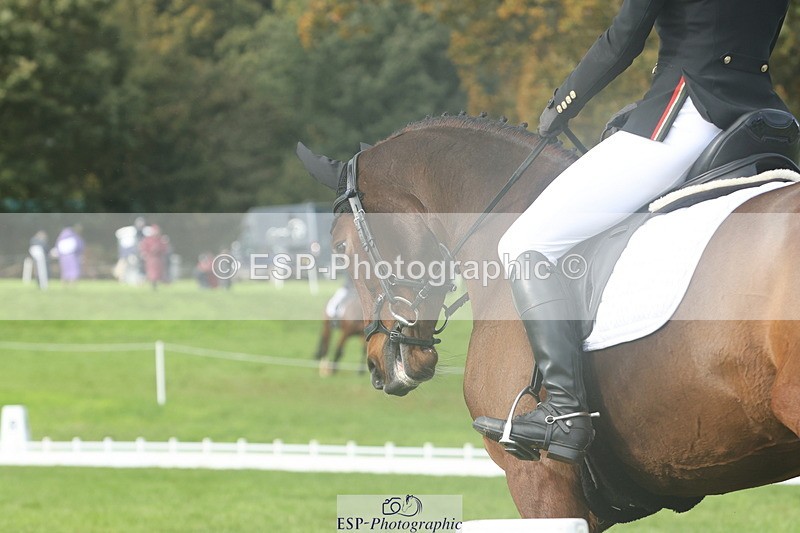 251023A-145544-05059 - G-525-Henrietta.Hack