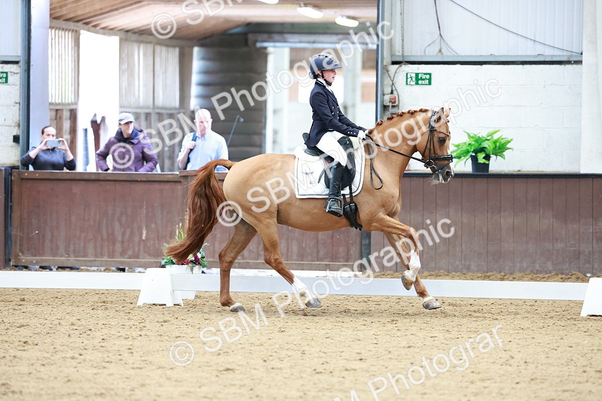 SBM_017082 - Class15 - FEI Pony