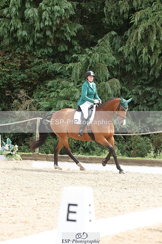 250718A-153011-02582 - 152-Tracy.OKennedy-Wylye.Harlequin