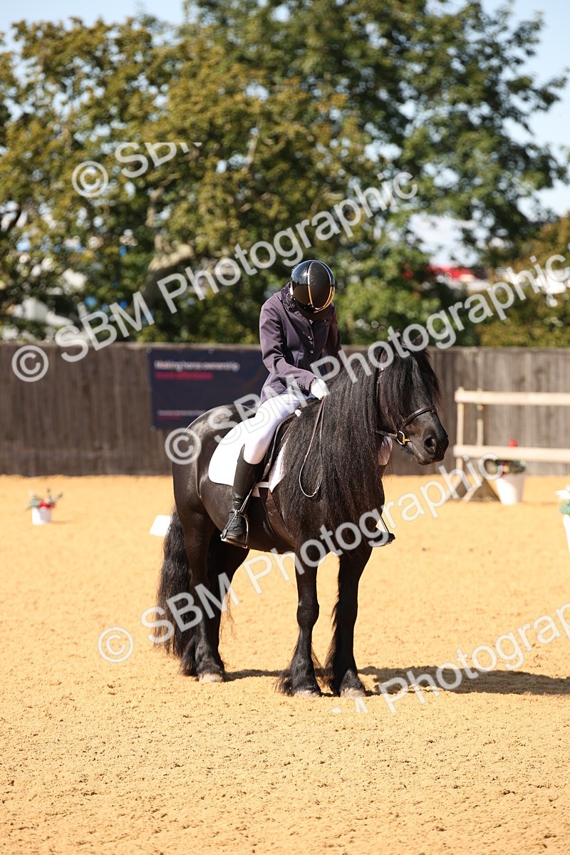 SBM_24177 - D5 - Small Tour Championship - Intro C