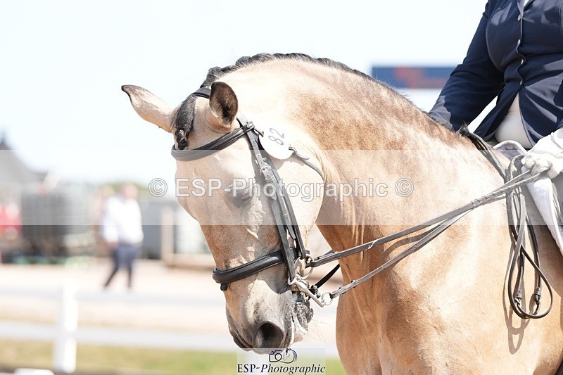 250817-130752-09240 - 082-Sarah.DavisWinston.Classic.Gold