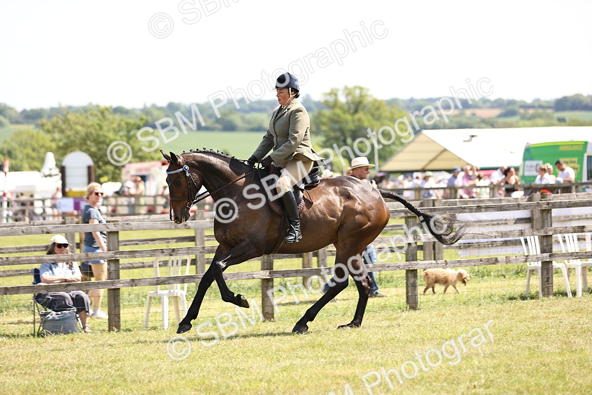 SBM_14916 - Class 78 - LIHS BSHA Open Racehorse & Show Horse