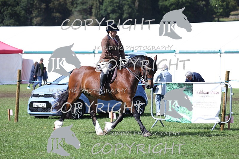 APP_3502 - Class 12 M&M ridden