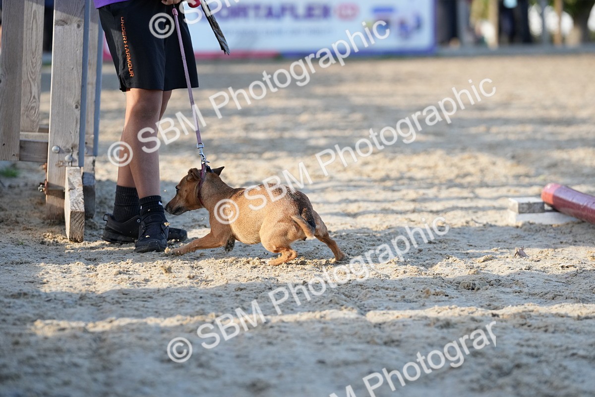 SBM_29072 - J43 - Horse & Hound Open 50cm