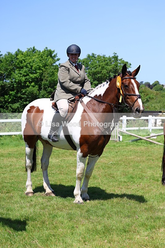 3E7A7406 - Class 30: Novice Working Hunter
