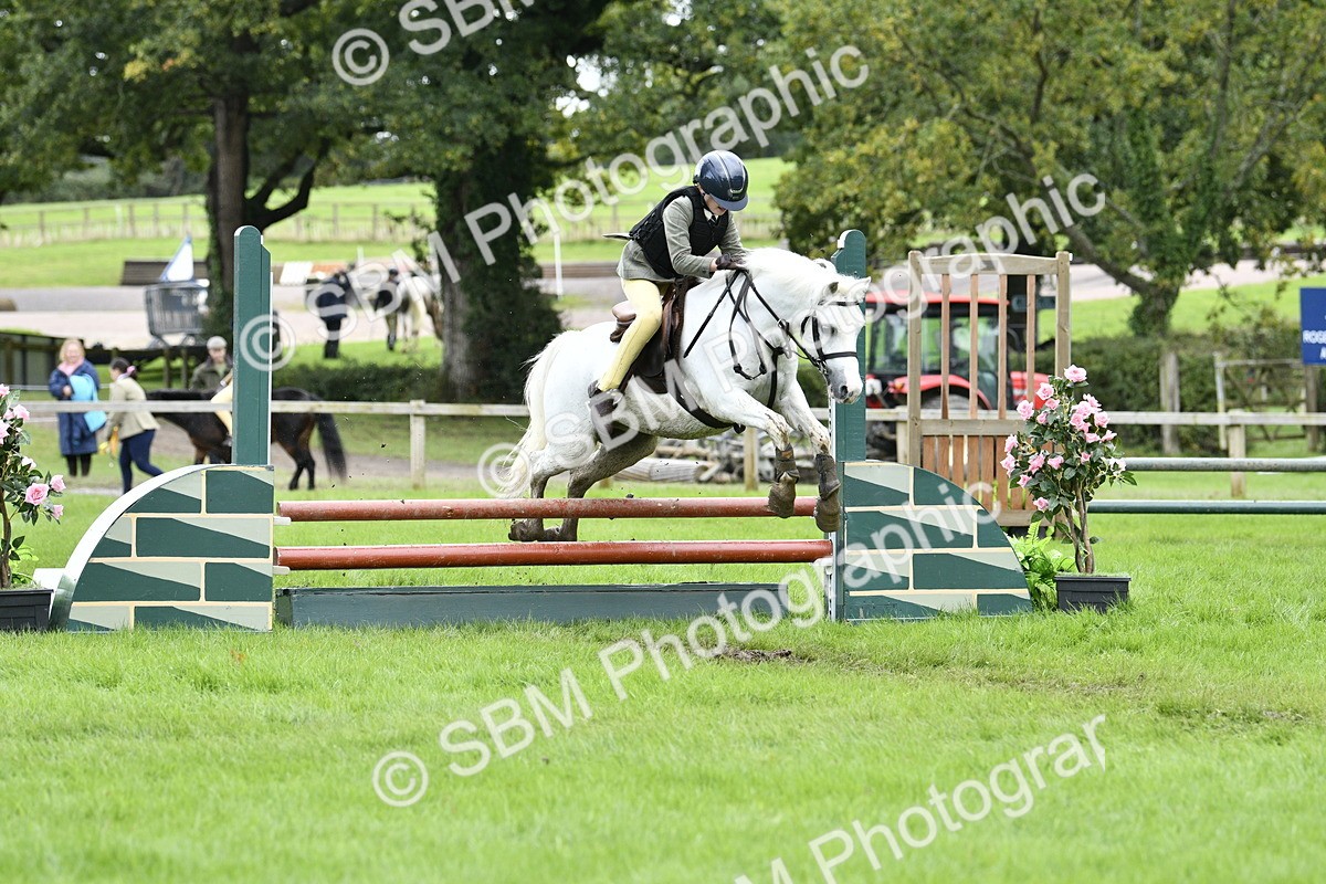 SBM_41292 - S32 - Mountain & Moorland Working Hunter Pony