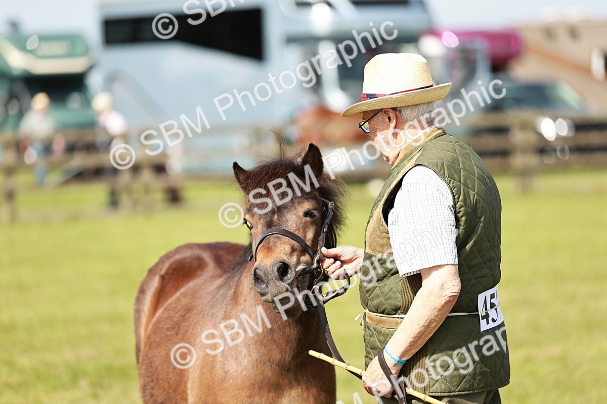 SBM_01818 - Class 14-23 - Mountain & Moorland In Hand Non Welsh