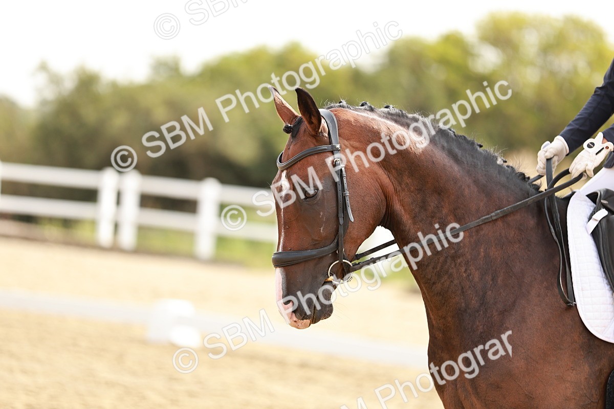 SBM_002582 - Class 6 - Novice 6 Silver - 10.17-11.20