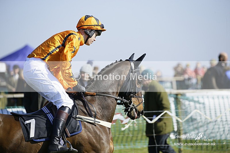 PtP 190322 481 - Wilton Hunt PtP Milborne St Andrew 19/03/22