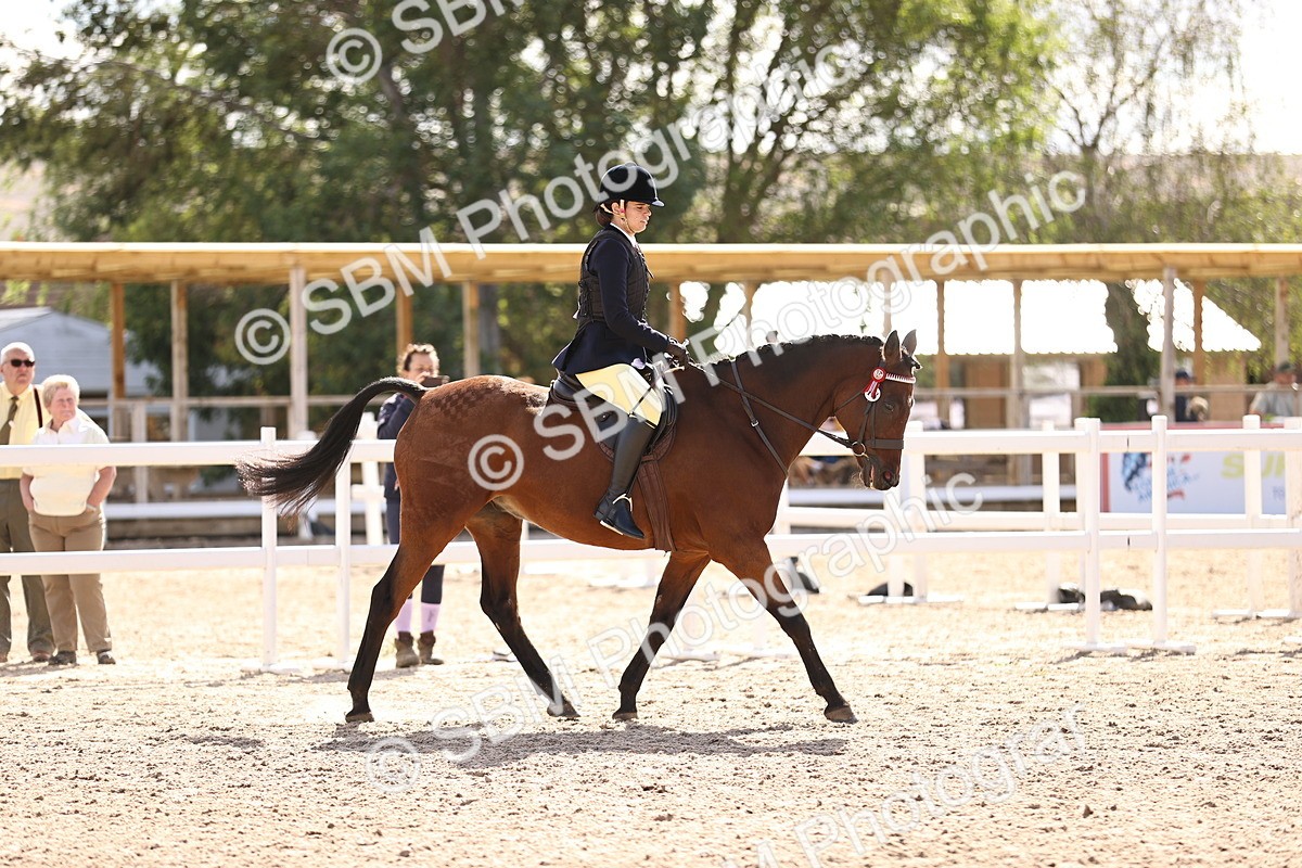 SBM_11635 - Class 408 - Grassroots Ridden - Walk & Trot