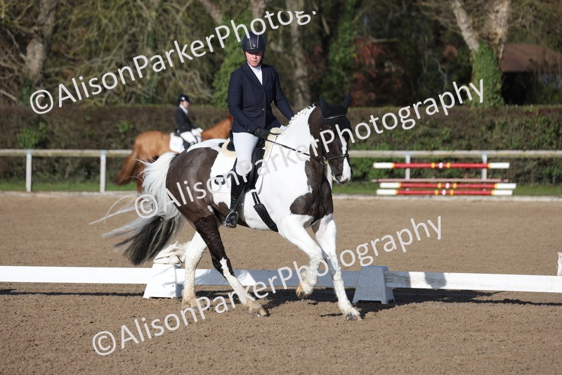 20260128-0303 - Class 3 - Novice 4