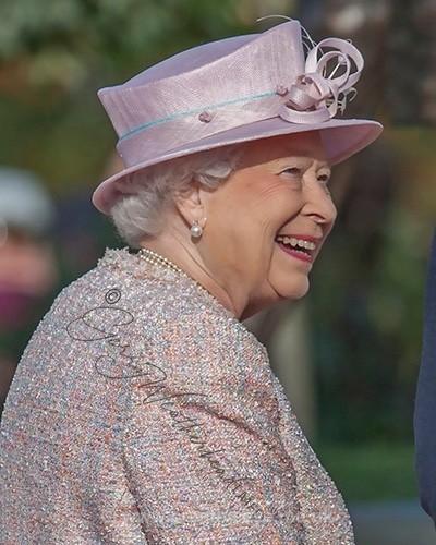 No.0009 - The Royal Family June 2015