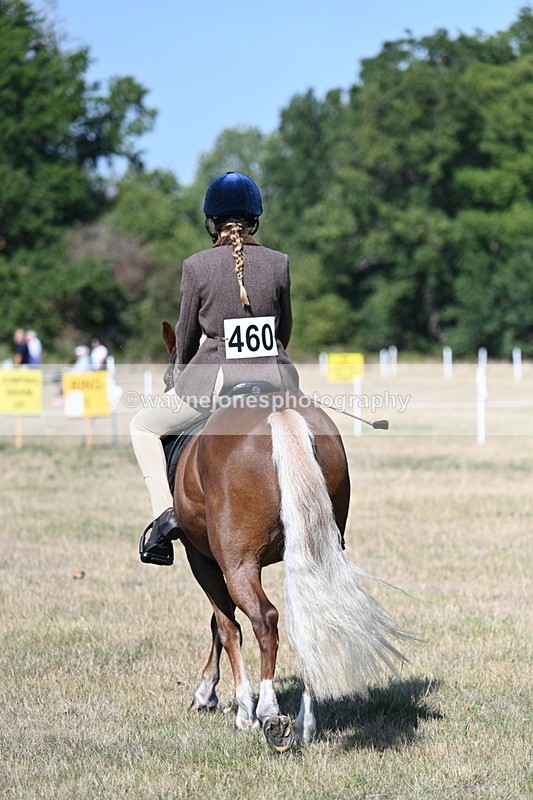 WJ7_3984 - Class 9 Mountain & Moorland Ridden