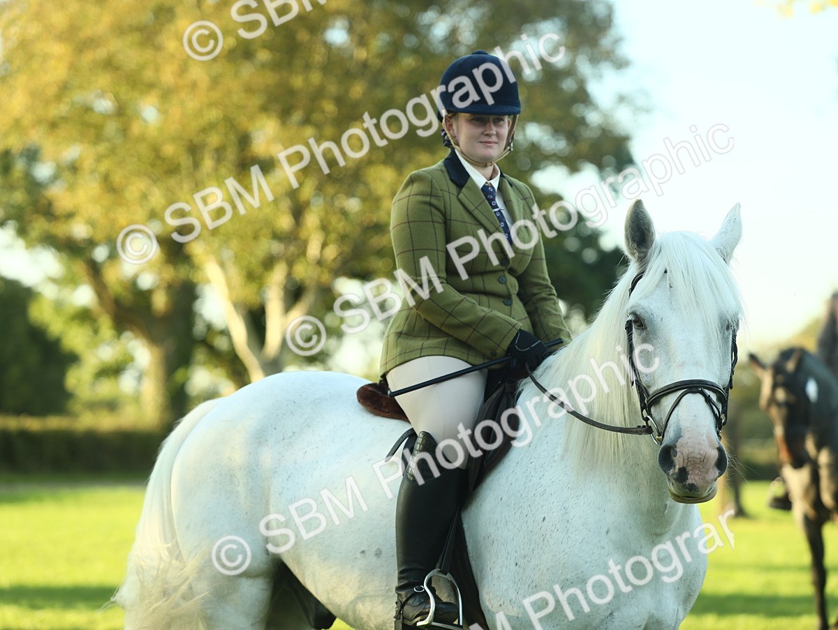 SBM_55609 - S14 - Riding Club Horse