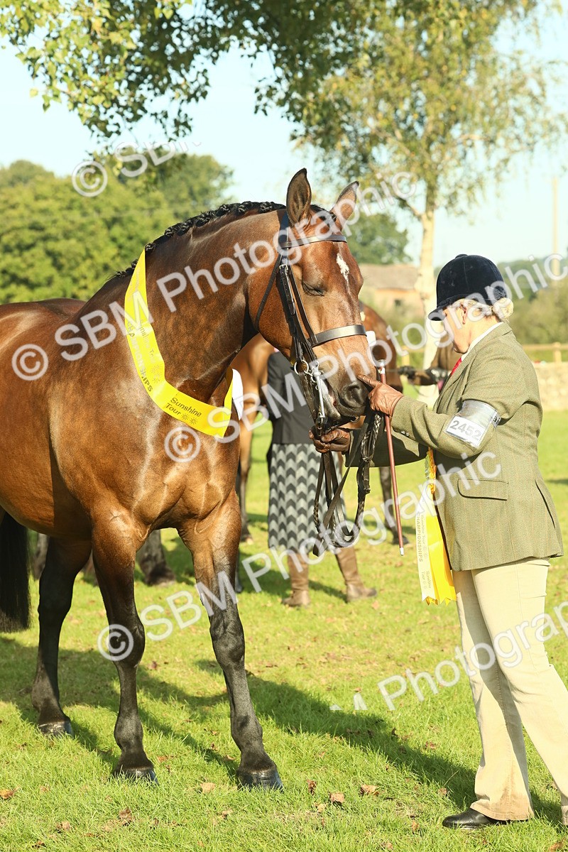 SBM_58633 - S37 - Starters In Hand Showing