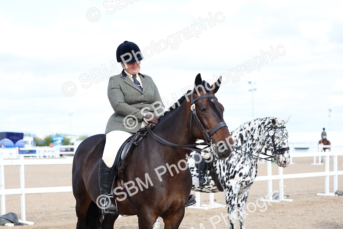 SBM_17191 - Class 315 - Best Horse - Rider Combination