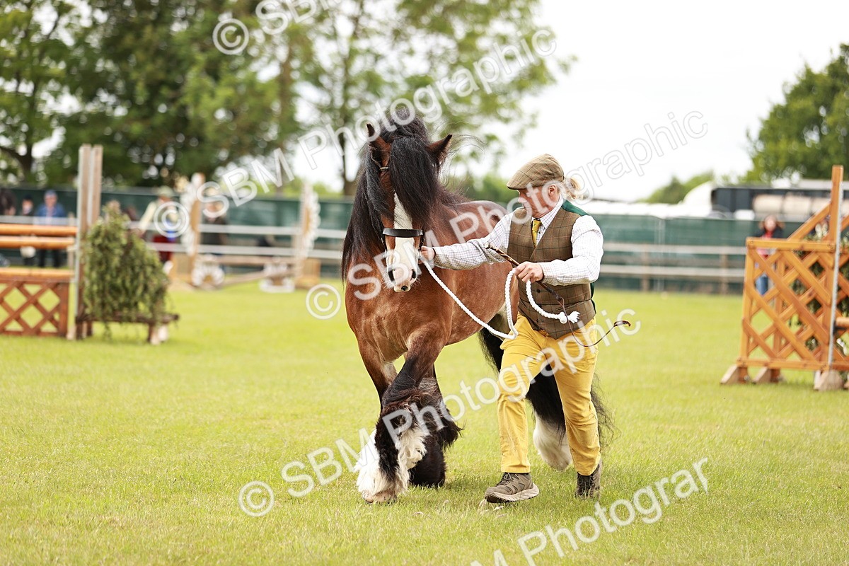 SBM_06047 - Class 39-41 TGCA In Hand and Ridden