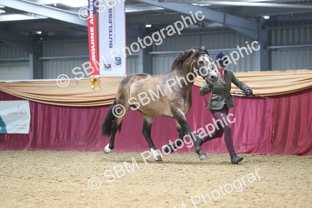 SBM_17170 - M&M Supreme Final Champ