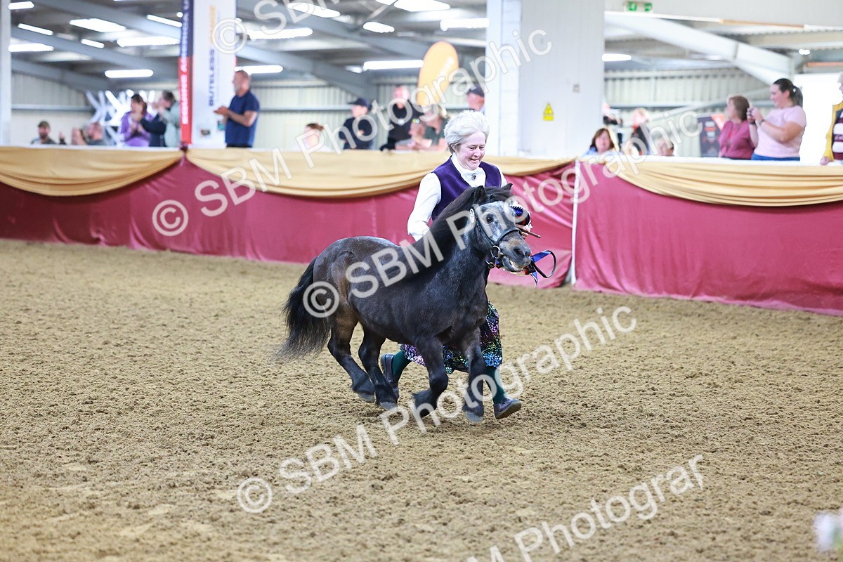 SBM_14763 - Class C - Novelty champ