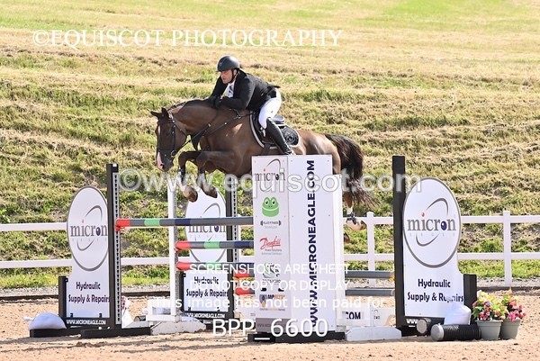 BPP_6600 - CLASS 13 FRI HOYS Talent Seeker Qualifier Inc 7 Year Old Horse Championship Qualifier