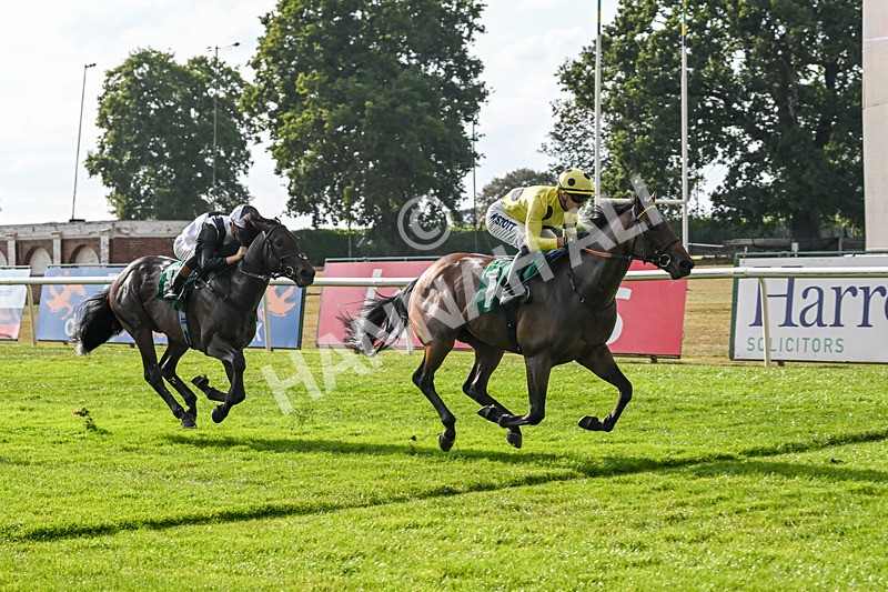 150825-Race 1-Alaminos-2385 - Race 1