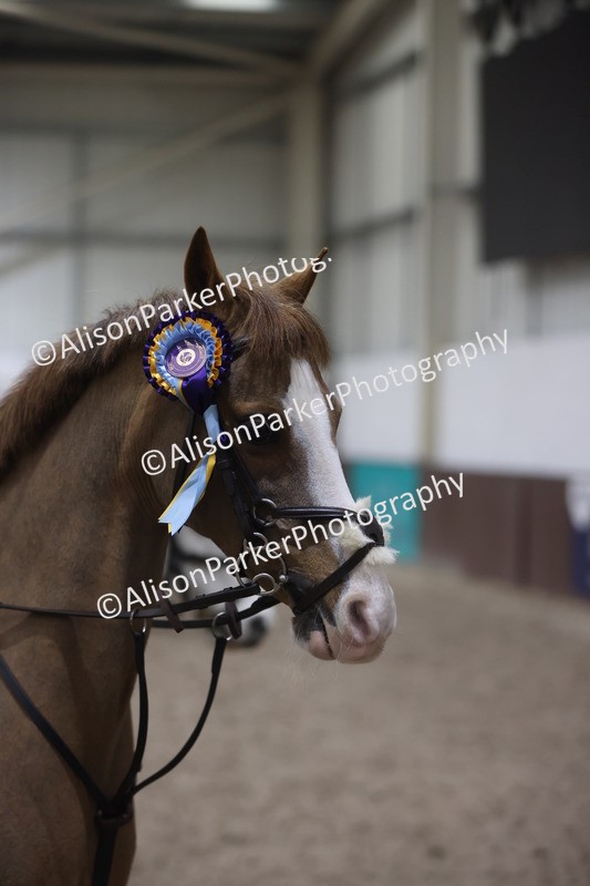 20260125-1747 - Class 2 - 50cm