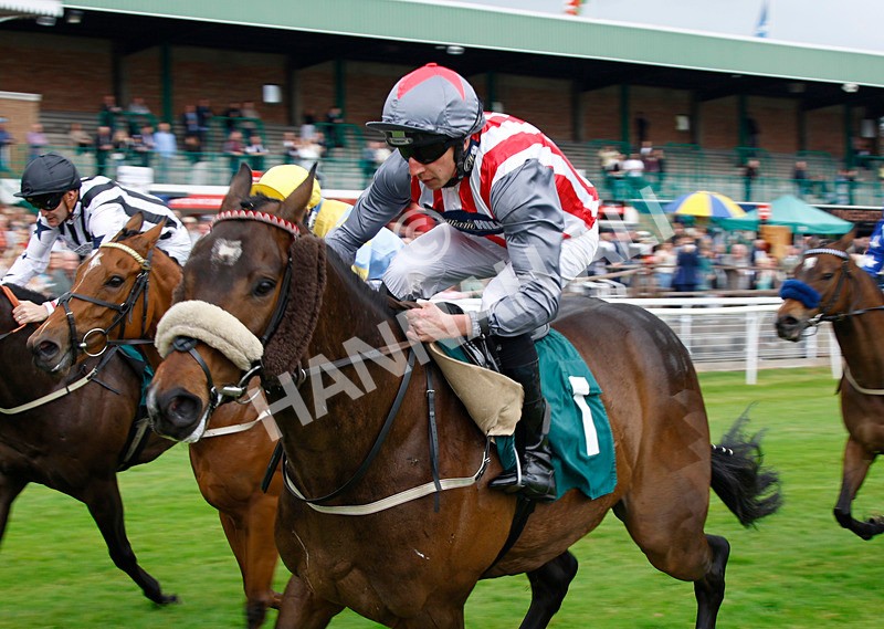 240525-Race 5-Betweenthesticks-5 - Race 5