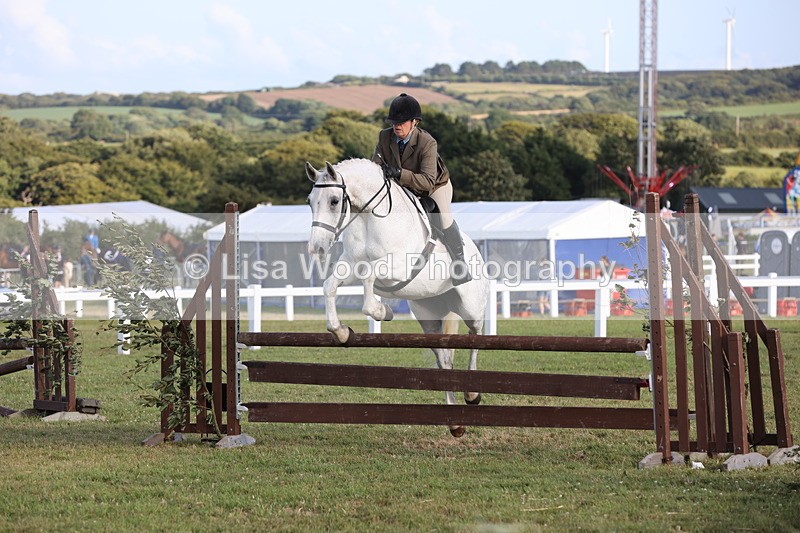 JPP_3391 - Class 22: Working Hunter 90cm