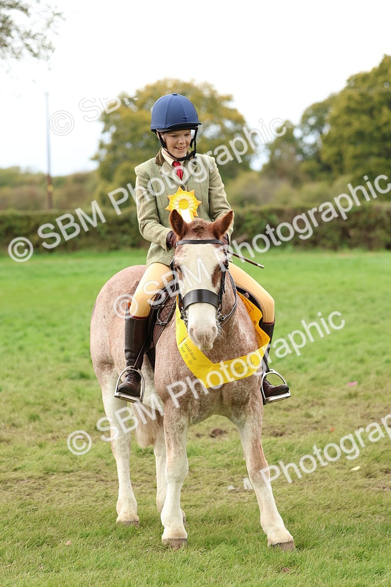 SBM_67560 - S60 - Mini Show Cob Ridden