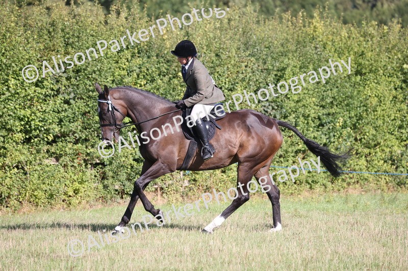 20260906-0417 - Class 14 - Ex Racehorse