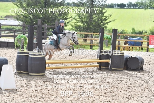 BPP_1696 - DERBY CLASS 4 - 50CM