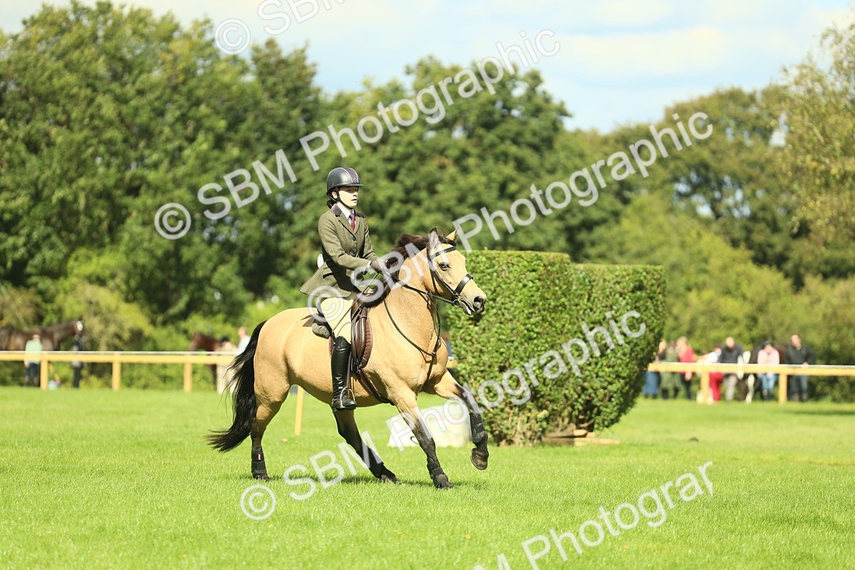 SBM_42848 - S30 - M&M Working hunter Pony